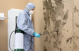 Forensic Mold Investigation in Edgemere, MD